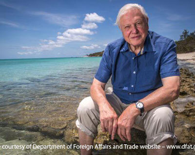 Read more about Sir David Attenborough backs new report revealing stark health impacts of plastic pollution and rubbish on world’s poorest people