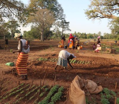Read more about WasteAid awarded EU funding for climate resilience in The Gambia