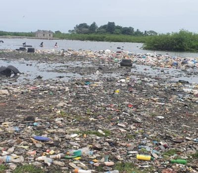 Read more about Protecting the Tanbi Wetlands through Waste Entrepreneurship in The Gambia